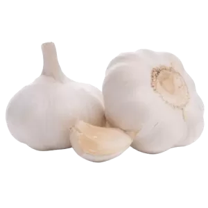 white garlic