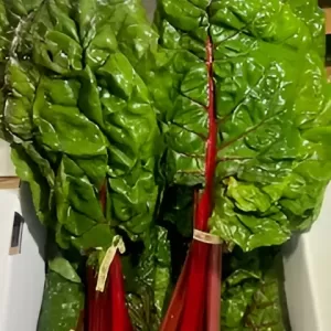 Organic Red Chard