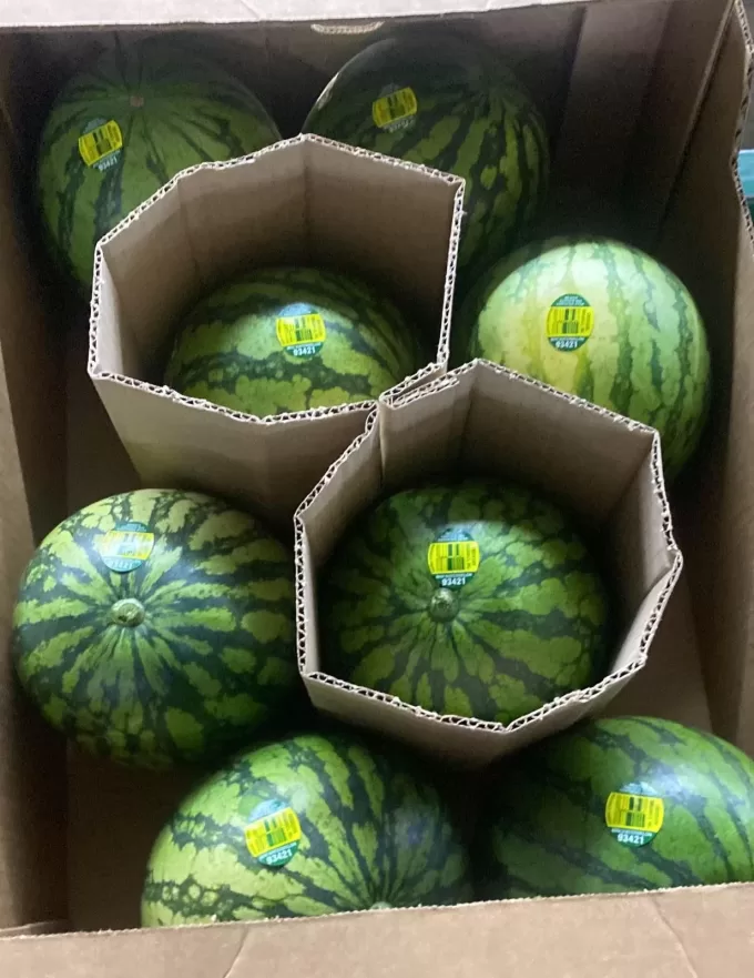 Organic Watermelon