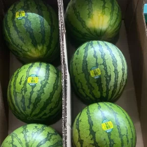 Organic Watermelon