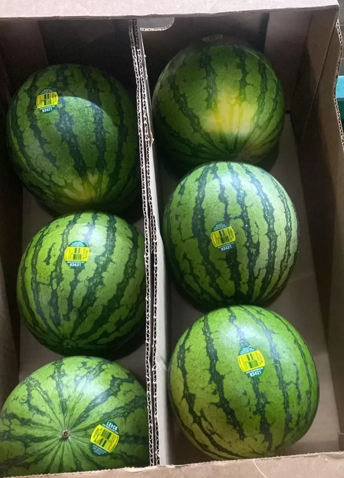 Organic Watermelon