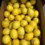 Lemons