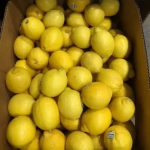 Lemons