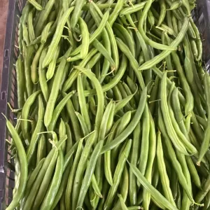 Green Beans