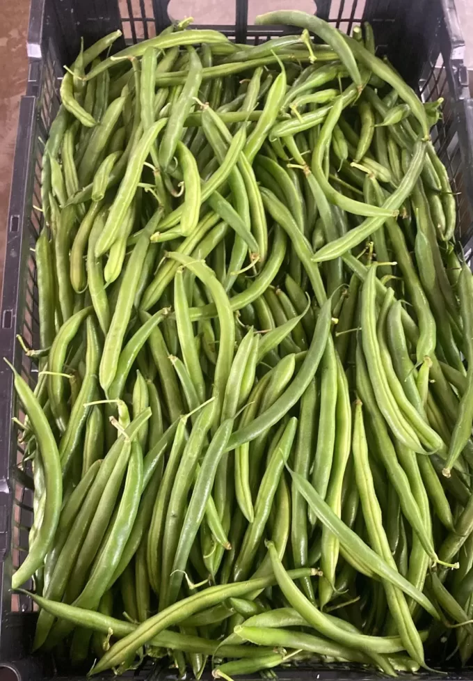 Green Beans