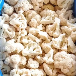 IQF Cauliflower