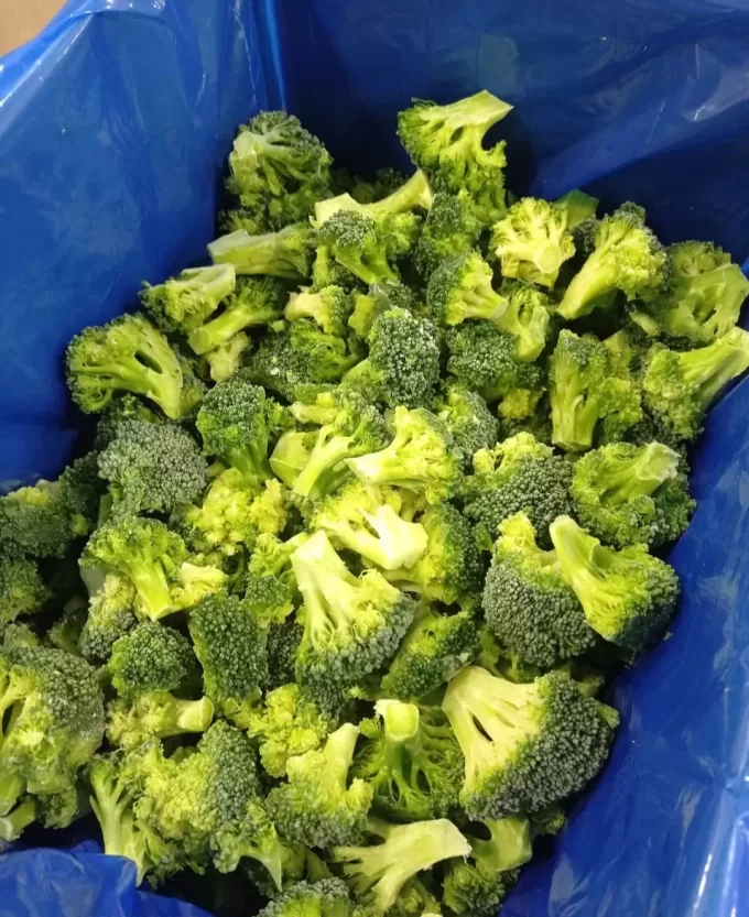 IQF Broccoli Florets