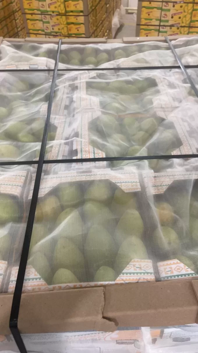 Mango Pic 2