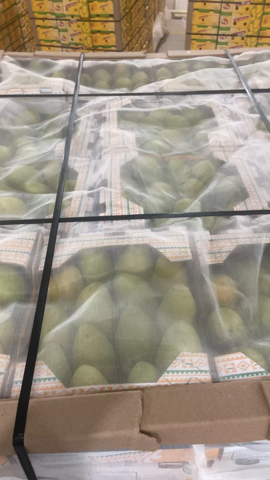 Mango Pic 2