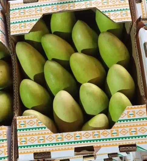 Mango Pic 3