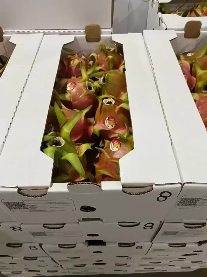Dragon Fruit