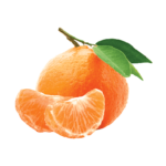 mandarins