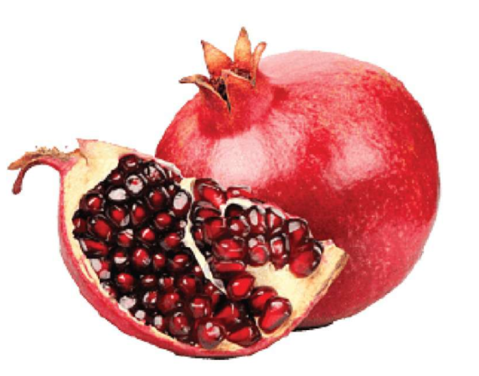 pomegranate