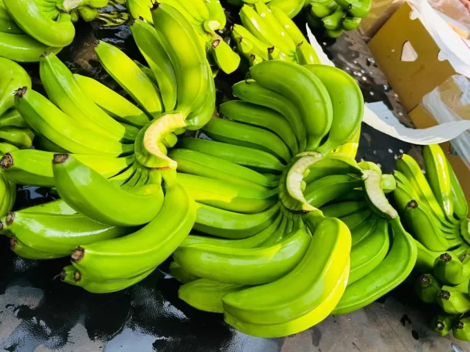 Indina Banana