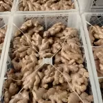 ginger organic