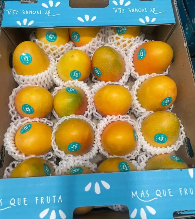 Mini Mango 3