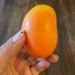 Mini mango 2