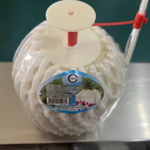 easy open coconut with plastic straw