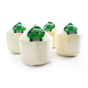 Young-Coconut-Diamond-Shape (2)