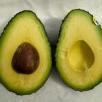 Avocado hass