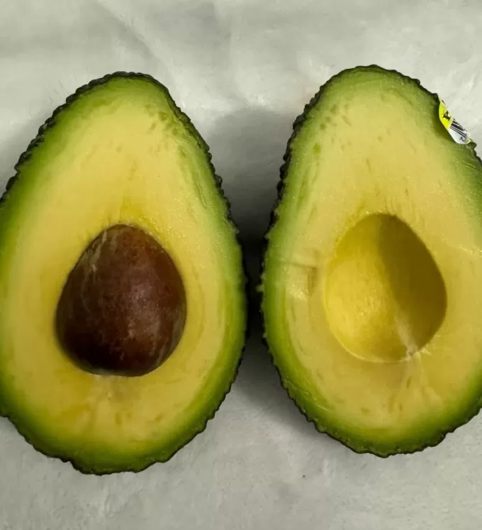 Avocado hass