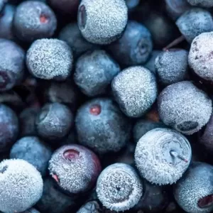 Frozen Blueberries