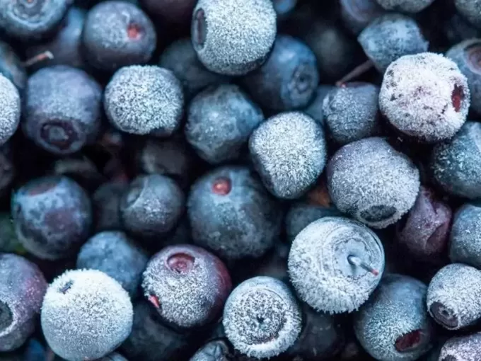 Frozen Blueberries