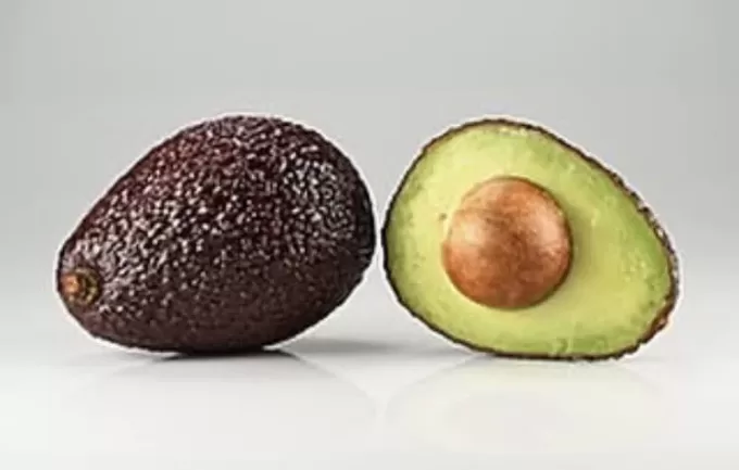 Hass Avocado Ecuador