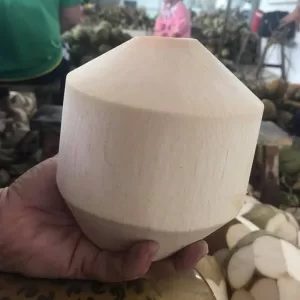 Young Fresh Diamond Cut Coconut