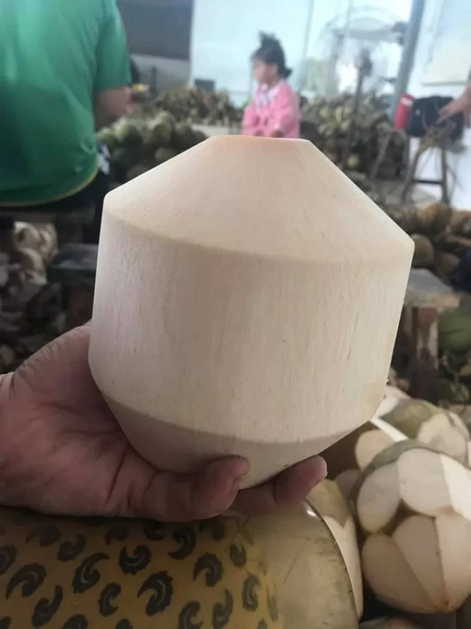 Young Fresh Diamond Cut Coconut