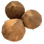 COCONUT