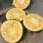 JACK FRUIT