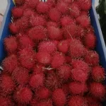 Rambutan Costa Rica