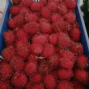 Rambutan Costa Rica