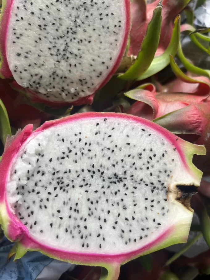 White Dragon fruit