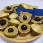 Longan