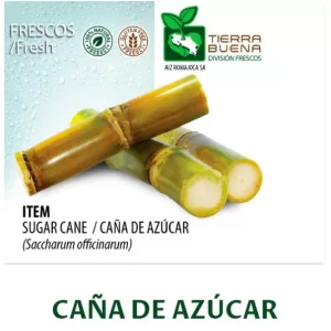 Sugar Cane