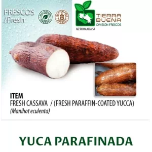 FRESH CASSAVA