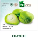 FRESH CHAYOTE