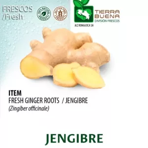 FRESH GINGER