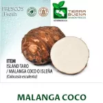 FRESH MALANGA COCO