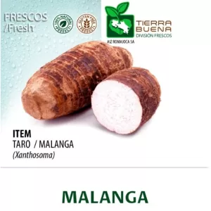 FRESH MALANGA TARO