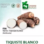 FRESH TIQUISQUE BLANCO