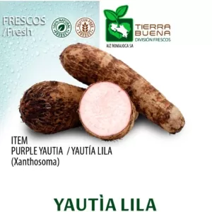 FRESH YAUTIA LILA