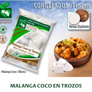 FROZEN MALANGA COCO