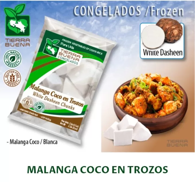 FROZEN MALANGA COCO