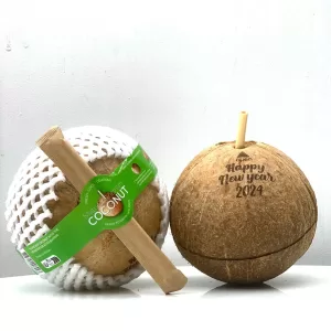 TF BROWN COCONUT: DRINK AND EAT Vietnam Vietnam