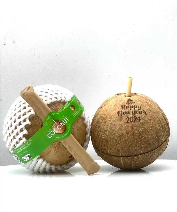TF BROWN COCONUT: DRINK AND EAT Vietnam Vietnam