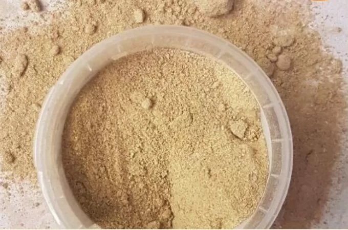 mango seeds powder 2