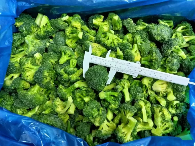 Broccoli